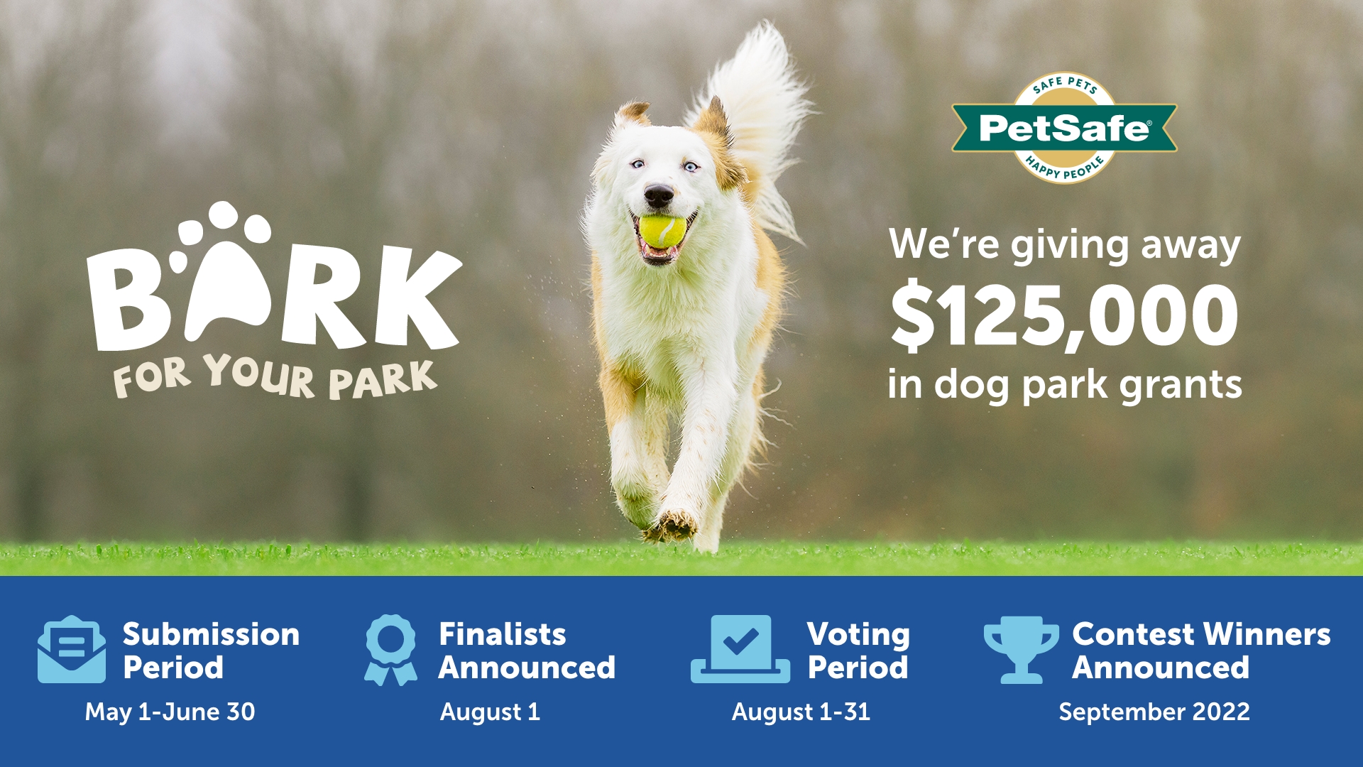 Bark For Your Park Infographic